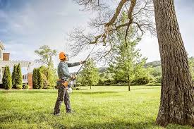 Best Lawn Disease Treatment  in Salmon Creek, WA