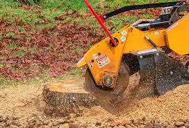 Lawn Watering Services in Salmon Creek, WA